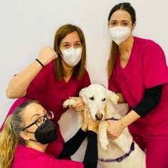 company photo