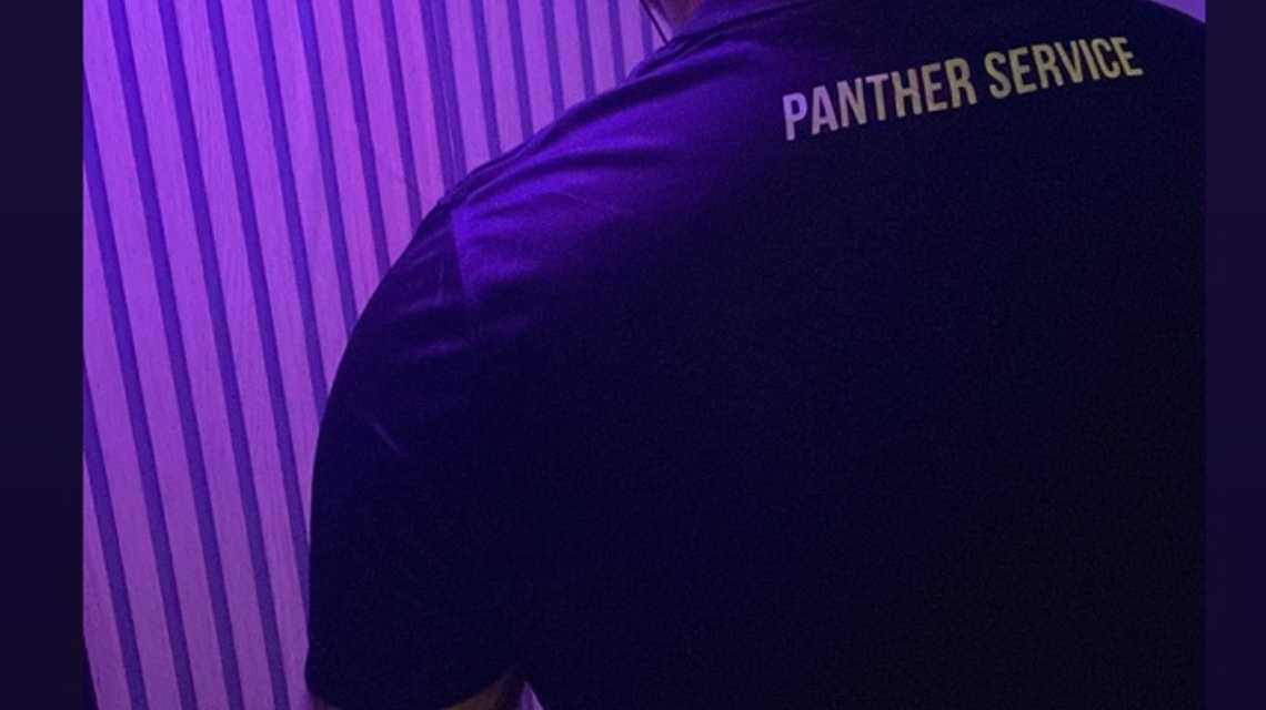 Panther Service cover image