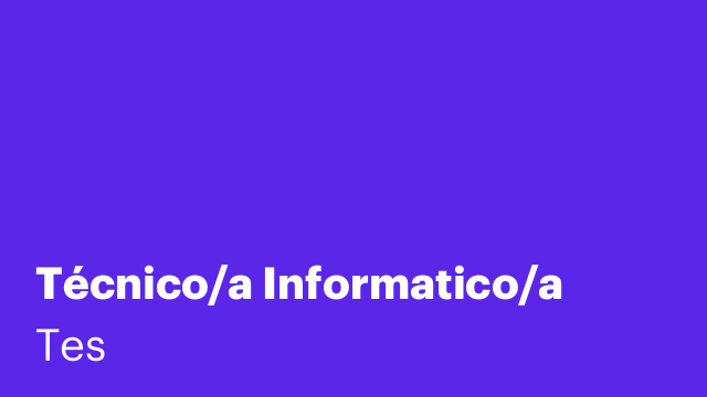Técnico/a Informatico/a
