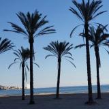 Micaela M. avatar icon