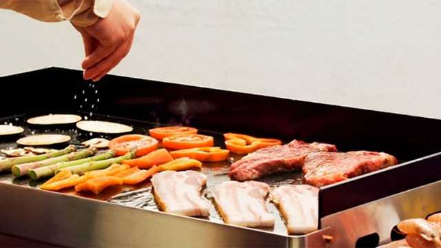 PLANCHISTA HOSTELERIA