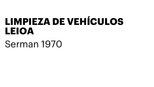 LIMPIEZA DE VEHÍCULOS LEIOA