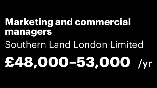 Marketing and commercial managers