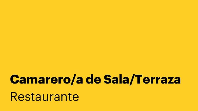 Camarero/a de Sala/Terraza