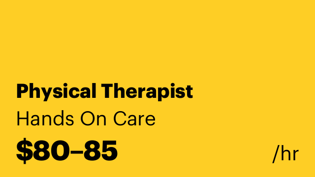 Physical Therapist