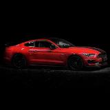 Gonay M. avatar icon