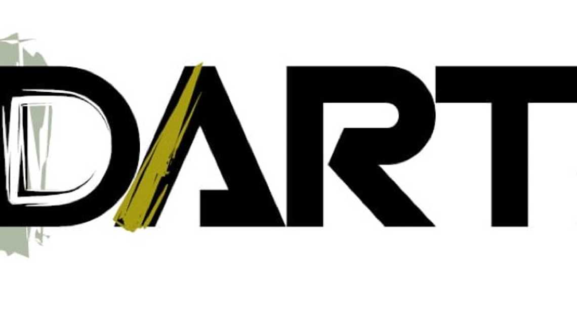 PINTURAS DART cover image