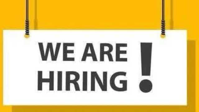 Personal Assistant (PA)