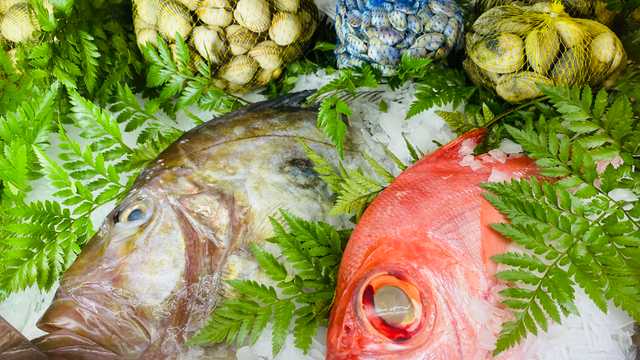 Ayudante/a de Cocina