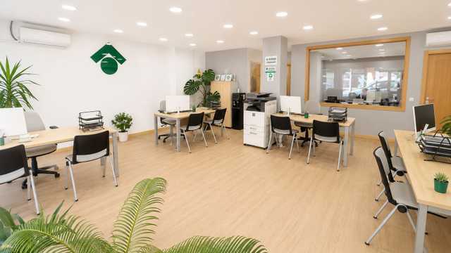 Agente Inmobiliario