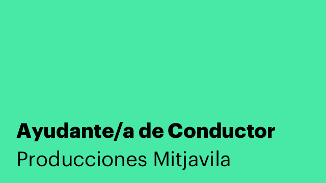 Ayudante/a de Conductor