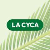 Taller L. avatar icon