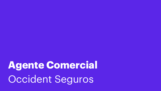 Agente Comercial