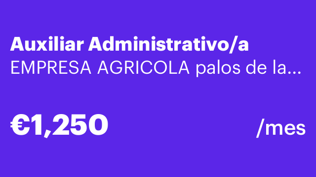 Auxiliar Administrativo/a