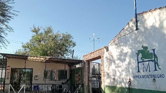 Camarero/a