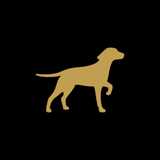 Rainy Day Pets logo