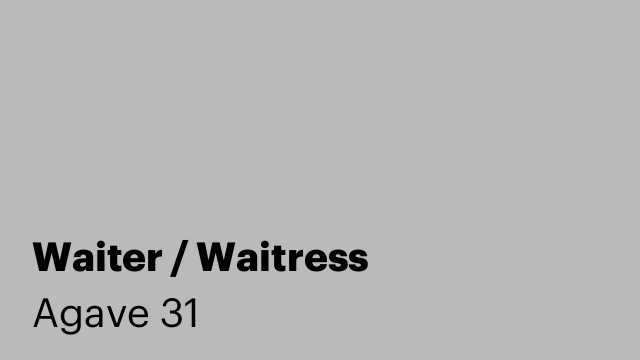Waiter / Waitress