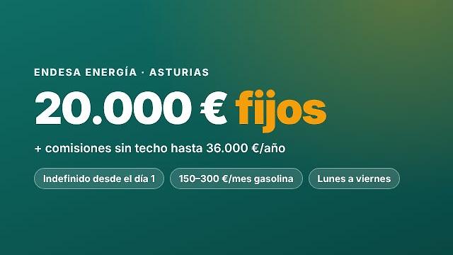 Asesor/a Comercial Endesa pymes · 20-36k €