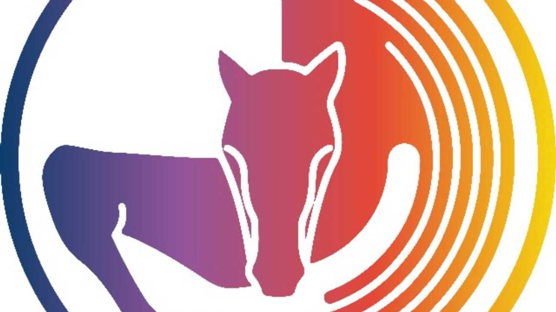FUNDACIÓN PEGASUS cover image
