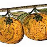 losnaranjoselvalle  avatar icon