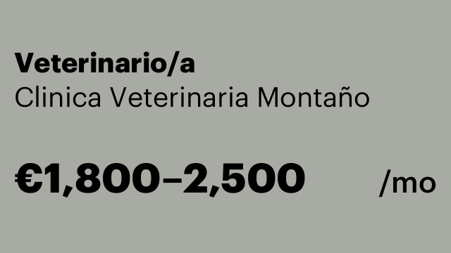 Veterinario/a