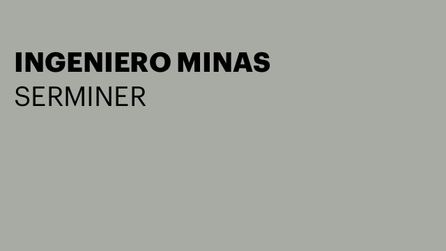 INGENIERO MINAS
