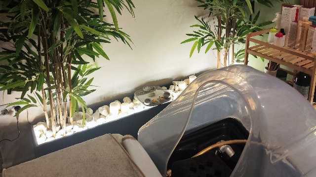 Oficial de Peluquería