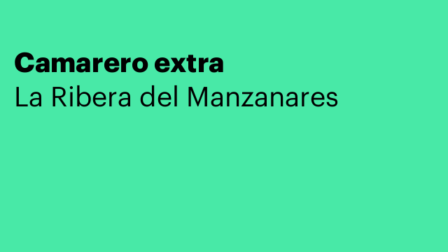 Camarero extra