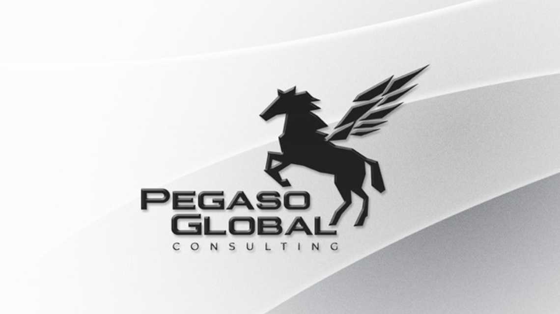 Pegaso Global Consulting cover image