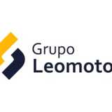 Grupo Leomotor  logo