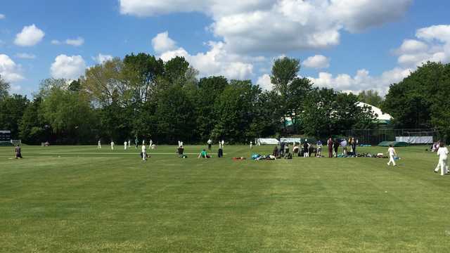 Head of Women’s & Girls’ Cricket - Shepherds Bush Cricket Club
