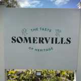Somervills logo