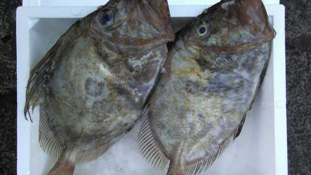 Mozo almacen, repartidor