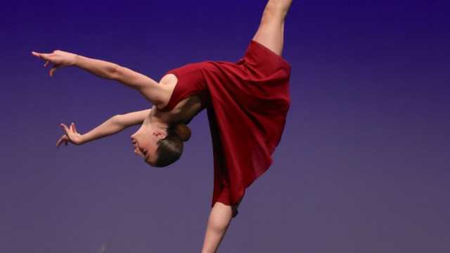 Profesor/a de Danza