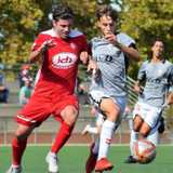 Antonio N. avatar icon