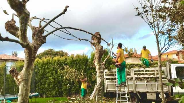 Jardinero