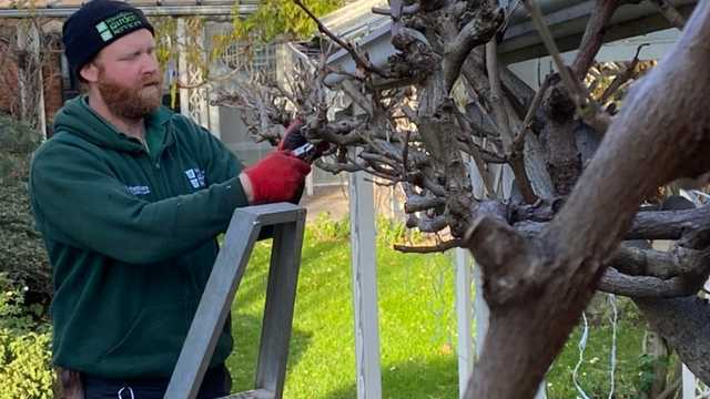 Mobile Maintenance Gardener