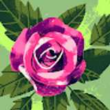 lady G. avatar icon