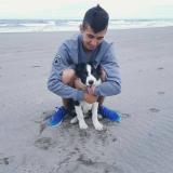 Illan V. avatar icon
