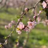 Marin P. avatar icon