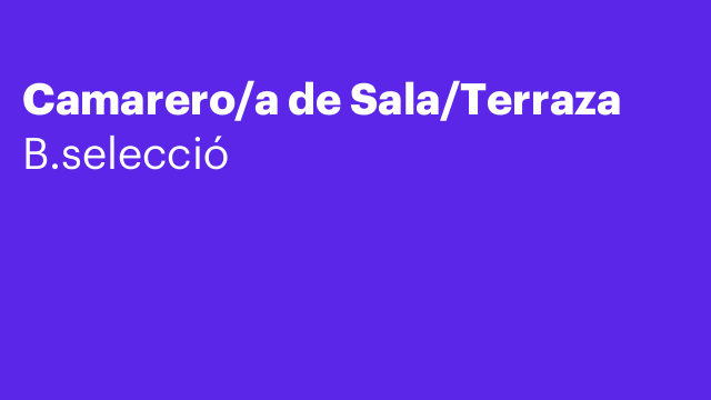 Camarero/a de Sala/Terraza