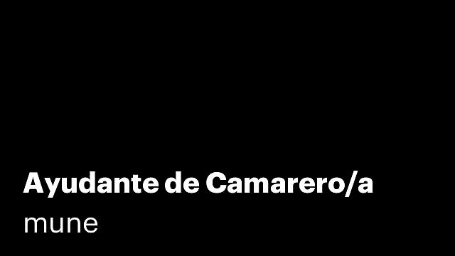 Ayudante de Camarero/a