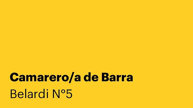 Camarero/a de Barra