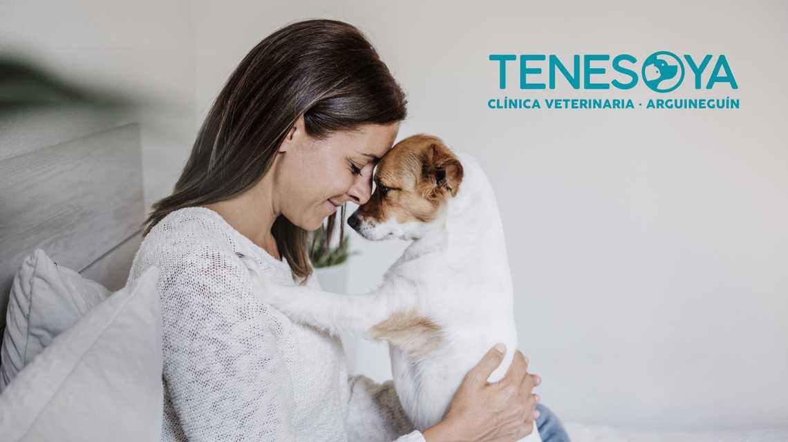 Clínica Veterinaria Tenesoya cover image