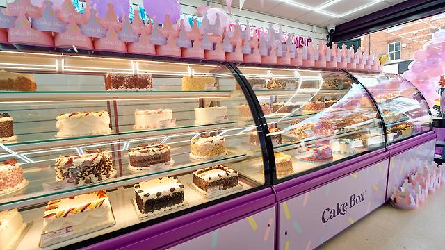 Cake Decorator