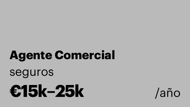 Agente Comercial