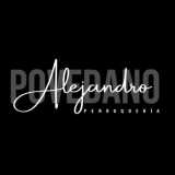 Alejandro Povedano Perruquería logo