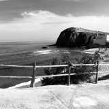 Jorge G. avatar icon