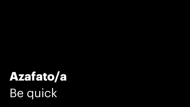 Azafato/a