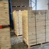 Jorge F. avatar icon